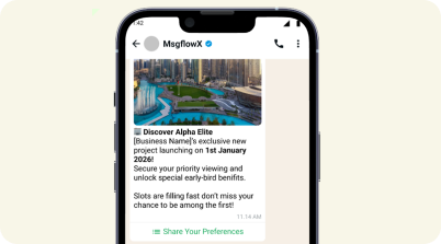 MsgFlowX preview